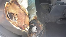 �há� vhodil zábavní pyrotechniku pod zaparkovaný automobil, ve kterém za�alo...