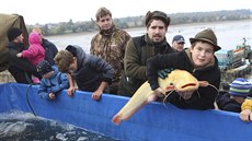 Ve Veselském rybníku, který si tolik oblíbil prezident Milo� Zeman p�i svých...