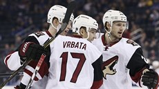 Radim Vrbata (uprost�ed) se raduje z gólu se spoluhrá�i Connorem Murphym...