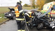 �idi�ka Felicie nezvládla ve Vy�kov� zatá�ku.