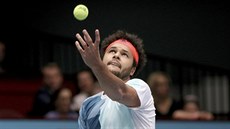 Jo Wilfried Tsonga bhem finále Erse Bank Open.
