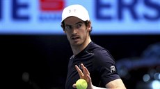 Andy Murray bhem finále Erse Bank Open.