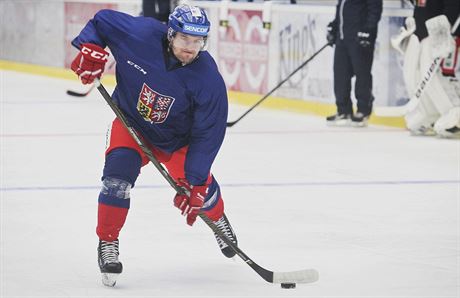 Obránce Jakub Jeábek stílí na tréninku hokejové reprezentace v Plzni.