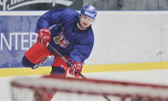 Utkání hvzd KHL si zahrál i obránce Jakub Jeábek, ilustraní foto