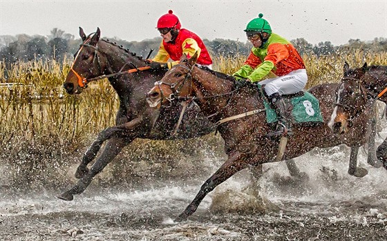 Marek Stromský s hndákem Woodym (vpedu) pi steeplechase cross country v...