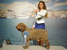 Chovatelka  Viktórie Kyseová získala se svými psy mnoho výstavních ocenní.