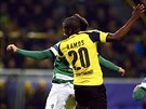 Útoník Dortmundu Adrian Ramos stílí hlavou vedoucí gól Borussie v utkání...