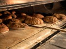 Chleby v Esce peou z eské biomouky a tífázového kvasu v peci na bukové díví.
