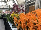 Asi 250 botanických druh a stovky hybrid práv kvetou v Botanické zahrad...