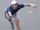 Britský tenista Andy Murray returnuje ve finále turnaje v Paíi