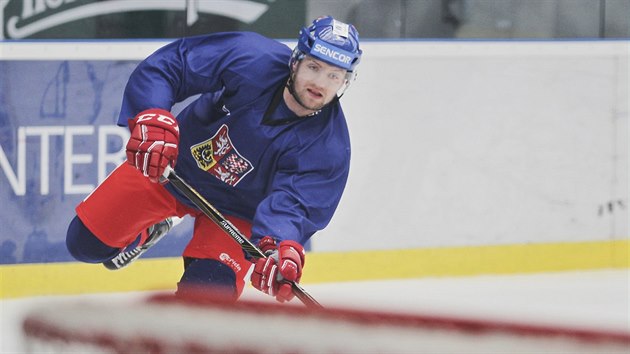 Obrnce Jakub Jebek stl na trninku esk hokejov reprezentace v Plzni.