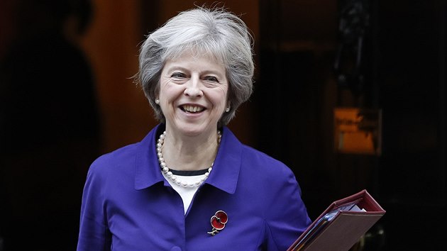 Britsk premirka Theresa Mayov vyrazila na snmovn interpelace i se symbolem Dne vetern - kvtem vlho mku.