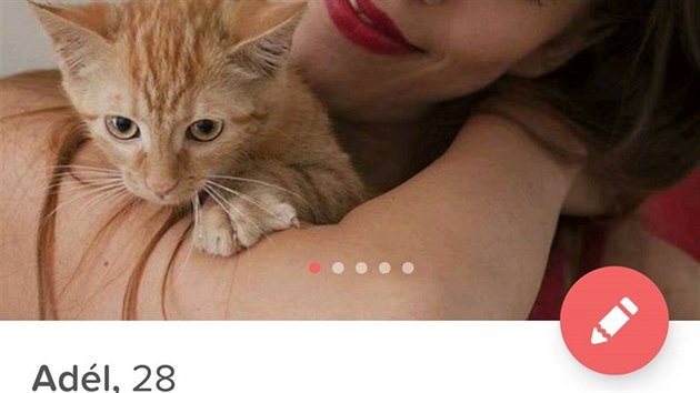 Ukázky kočičích profilů na Tinderu