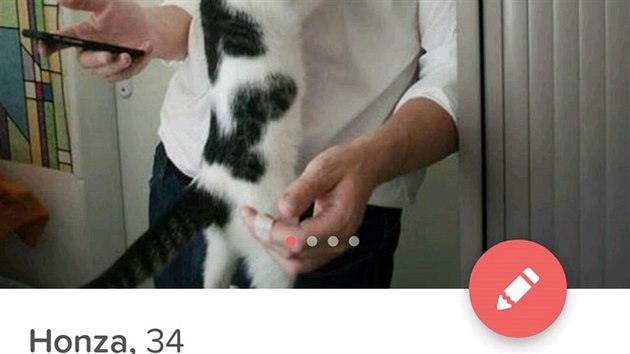 Ukázky kočičích profilů na Tinderu
