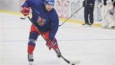 Obránce Jakub Jeřábek střílí na tréninku hokejové reprezentace v Plzni.