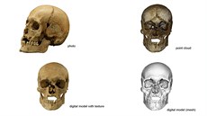 Pesný model lebky vytvoili z pouhých fotografií kosterního materiálu...
