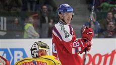 eský hokejista Luká Radil slaví gól proti védsku.