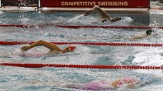 Momentka z plaveckého Axis Cupu