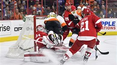 Na detroitského brankáe Petra Mrázka padá skórující Chris VandeVelde z...