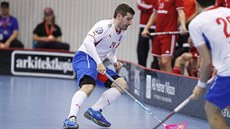 KAPITÁN. �eský obránce Jan Jelínek v utkání proti �výcarsku na EFT ve Växjö.