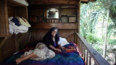 Shawnee Chasserová �ije na Florid�, kde ji� 25 let bydlí ve stromovém dom�....