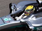 Lewis Hamilton bhem tréninku na Velkou cenu Brazílie.