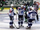 Hokejisté Plzn se radují ze vstelené branky v zápase 20. kola extraligy proti...