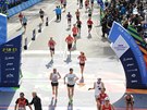 TCS New York City Marathon, 6. listopadu 2016: Jan Havránek práv dobíhá do...