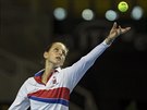 Karolína Plíková na tréninku ped finále Fed Cupu ve trasburku.