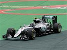 Nico Rosberg bhem kvalifikace na Velkou cenu Brazílie