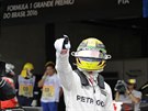 Lewis Hamilton slaví vítzství v kvalifikaci na Velkou cenu Brazílie.