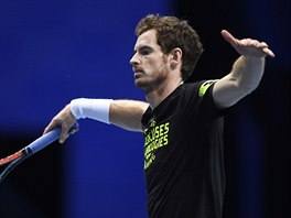 Andy Murray na trninku ped Turnajem mistr