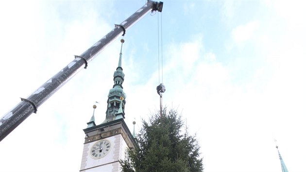 Pevoz vnonho stromu v Olomouci (13. listopadu 2016).