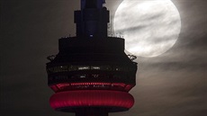 Naposledy zaili podobnou podívanou nai ddekové v roce 1948. Pít bude...