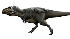Pední konetiny tyranosaura psobí oproti ohromnému tlu jako miniaturní...