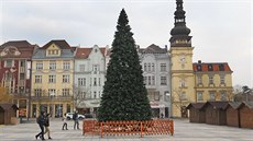 Vánoní strom budou mít letos Ostravané umlý. Radnice si slibuje úspory i...