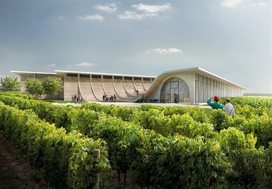 Struktura stavby Vinařství Lahofer je založená na šířce řádku ve vinohradu.