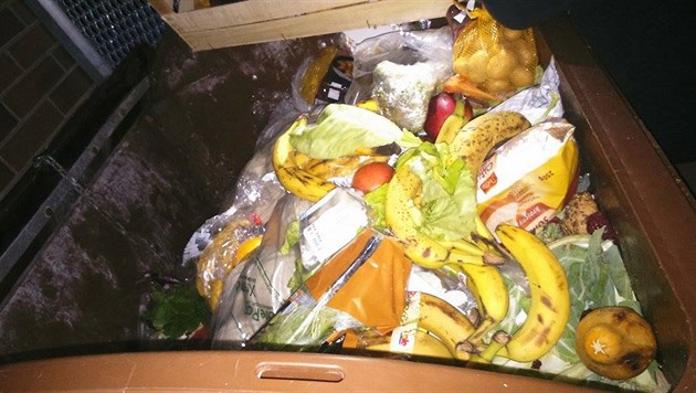 Mladíci v podmínce vlezli do kontejneru na prošlé jídlo, hrozí jim vězení