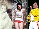 Freddie Mercury