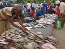 Prodejci ryb na trhu Darajani v hlavním mst Zanzibar Town