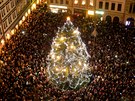 V centru Liberce se slavnostn rozsvítil vánoní strom (27. listopadu 2016)
