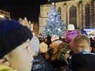 Slavnostní rozsvcování vánoního stromu v centru Plzn (27. listopadu 2016)