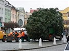 Putování vánoního stromu na svitavské námstí v listopadu 2016.