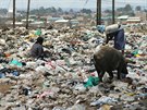 Nejvtí keský slum Kibera