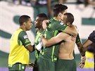 Fotbalisté brazilského týmu Chapecoense slaví semifinálovou výhru nad...