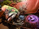 V�stava Dinosau�i na �et�zu l�k� do brn�nsk�ho Technick�ho muzea davy dosp�l�ch...