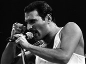 Freddie Mercury se ke svmu pvodu pli nehlsil. Mon i kvli rasismu,...