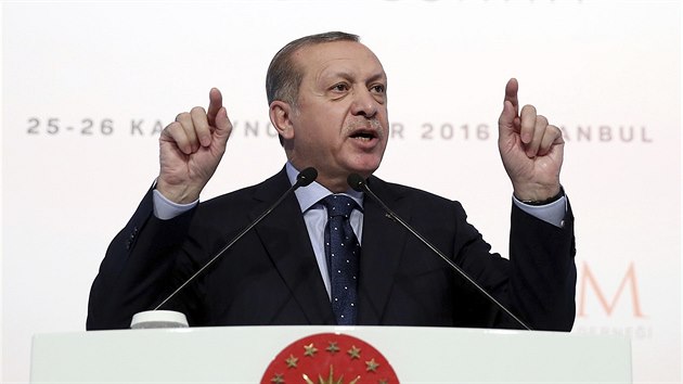 Tureck prezident Recep Tayyip Erdogan pi konferenci na tma eny a prvo (25. listopadu 2016)
