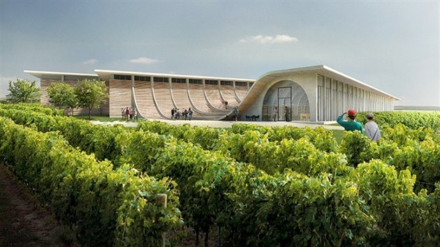 Struktura stavby Vinařství Lahofer je založená na šířce řádku ve vinohradu.