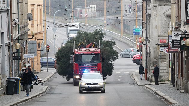 Jihlava už má svůj vánoční strom. Masarykovo náměstí bude letos zdobit deset metrů vysoký smrk z okrajového sídliště Demlova.